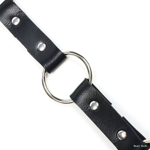 Anal with and Leash Collar Kinky EverydayUse Hook 5853 0110